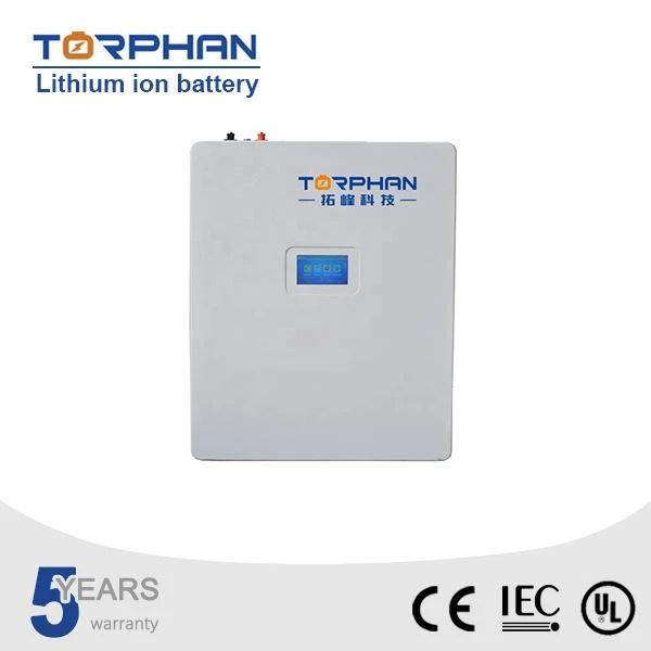 rechargeable lifepo4 battery